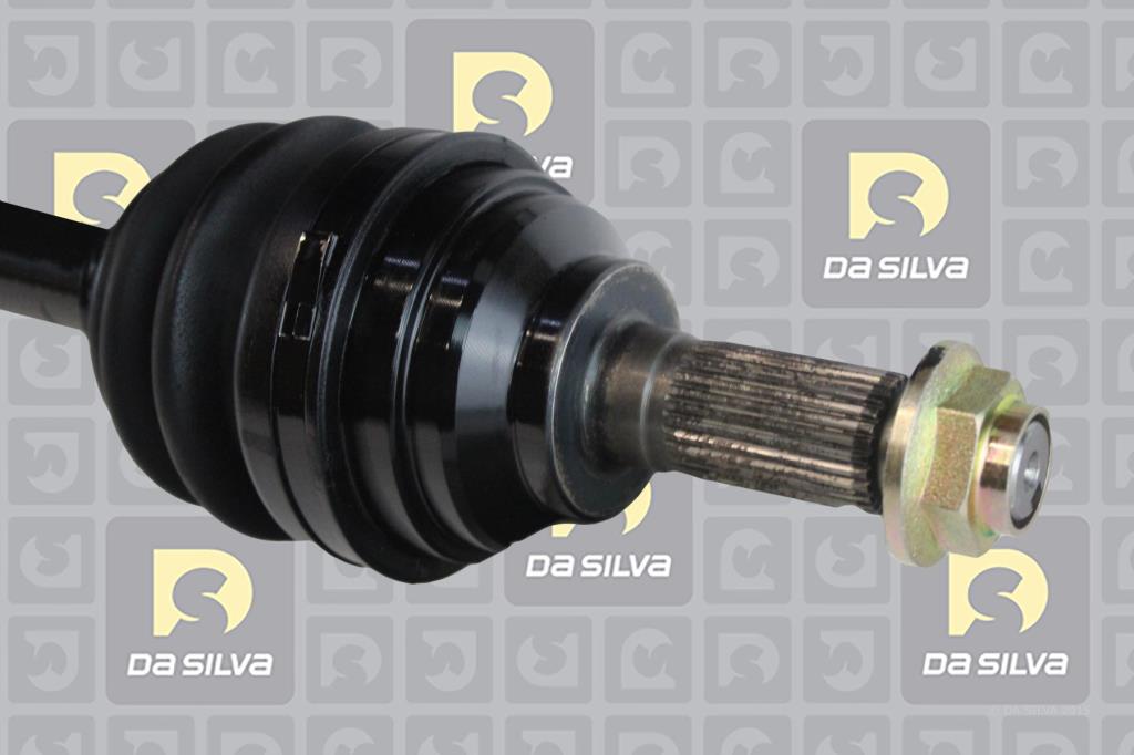 Cardan DA SILVA S.A.S. 94123T