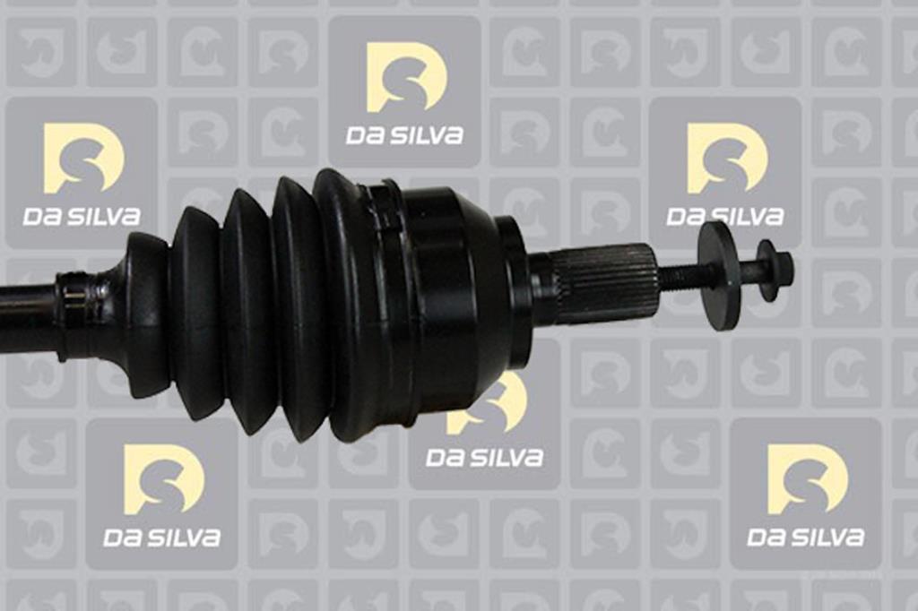 Cardan DA SILVA S.A.S. 94131T