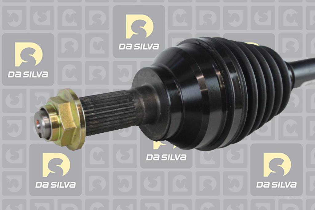 Cardã DA SILVA S.A.S. 94146T