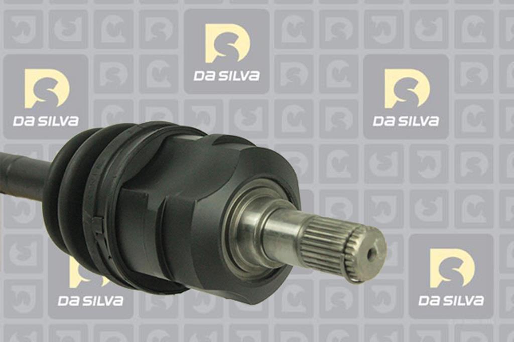 Cardan DA SILVA S.A.S. 95021T