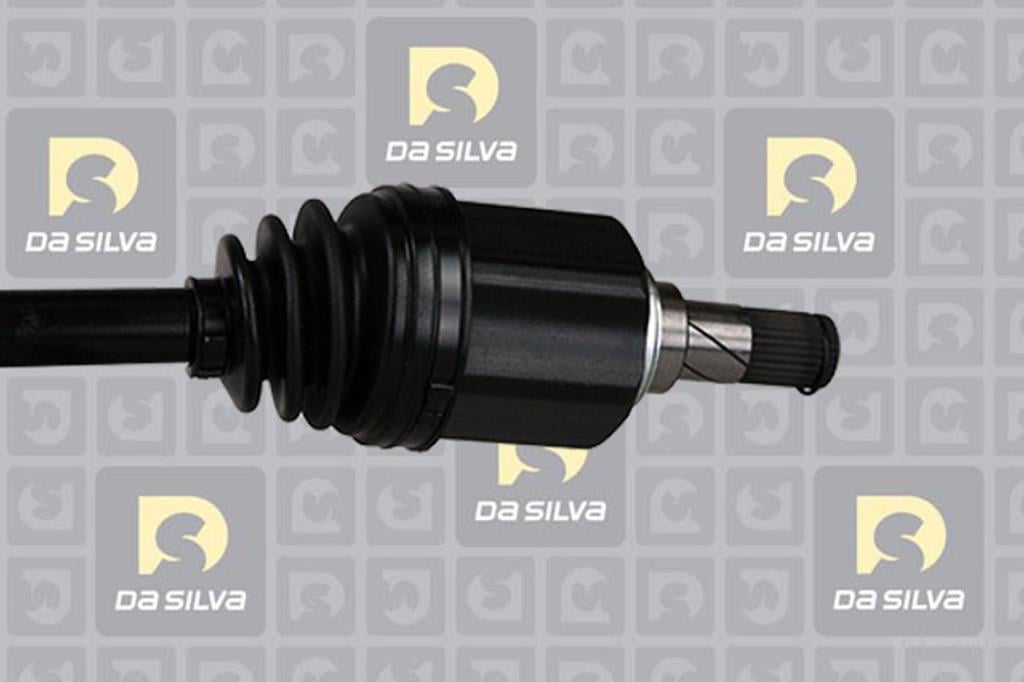 Cardã DA SILVA S.A.S. 95100T