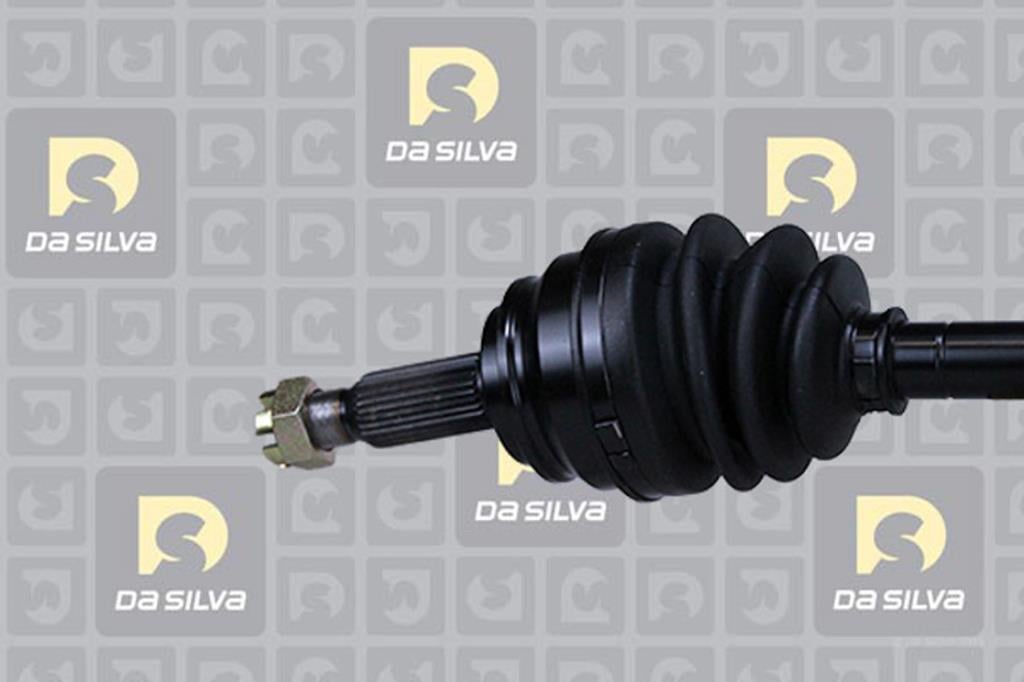 Cardã DA SILVA S.A.S. 95100T