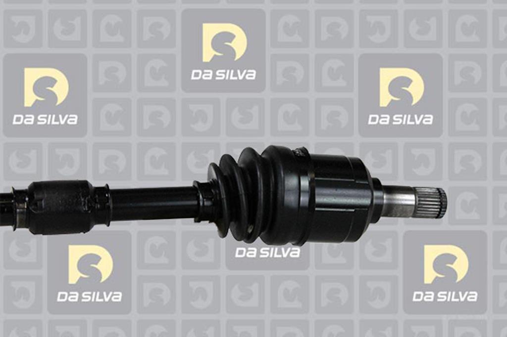 Cardã DA SILVA S.A.S. 95107T