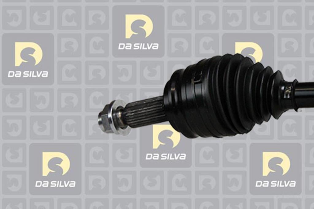 Cardã DA SILVA S.A.S. 95107T
