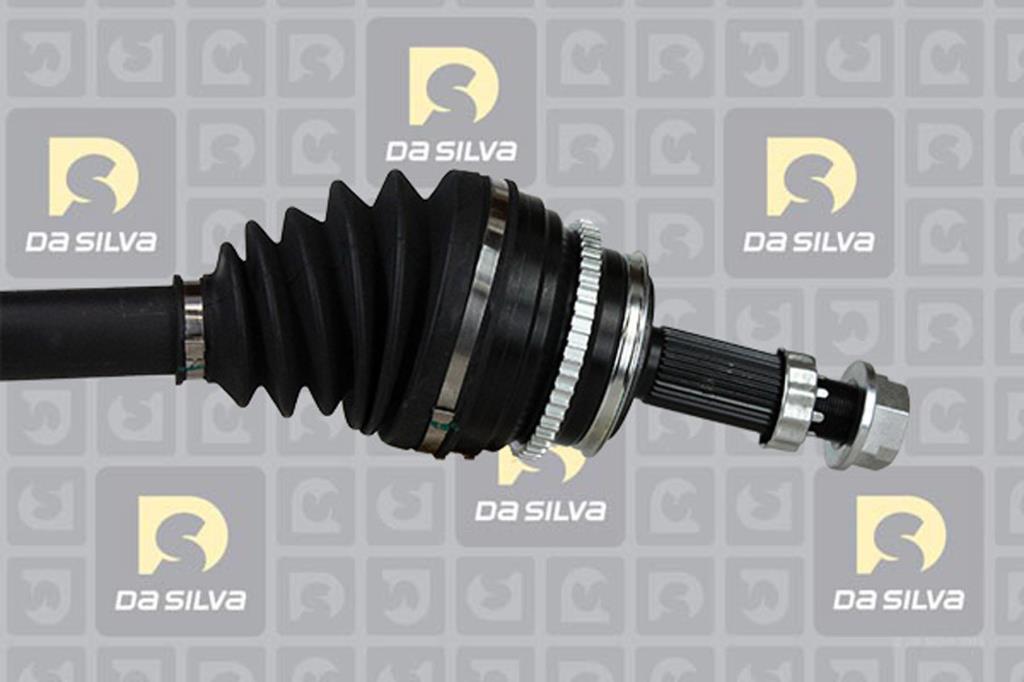 Cardan DA SILVA S.A.S. 95121AT