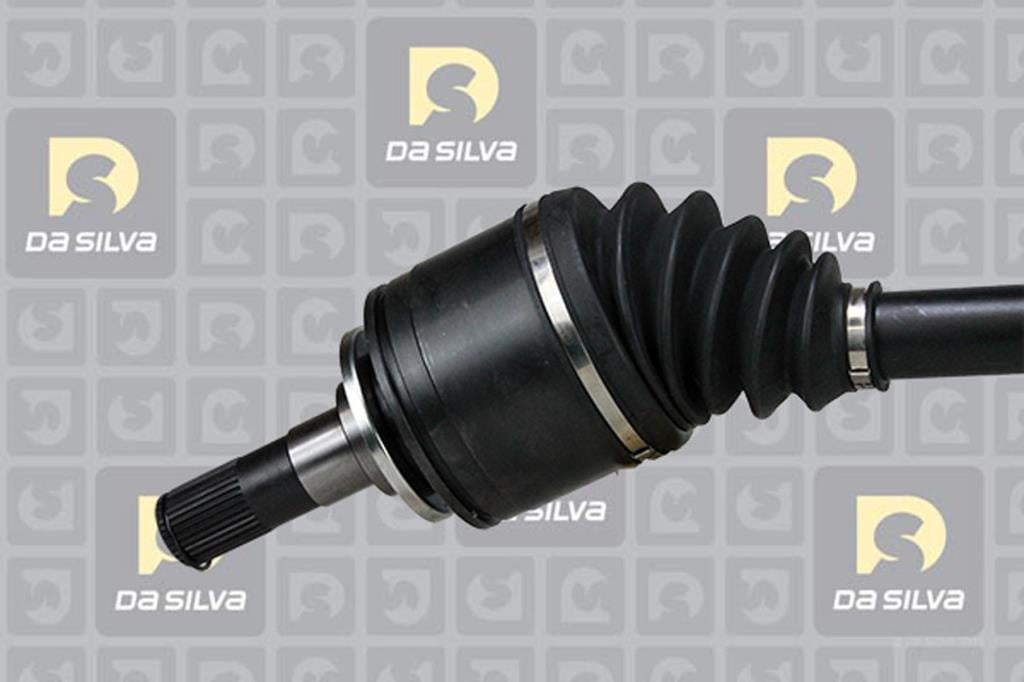 Cardan DA SILVA S.A.S. 95121AT