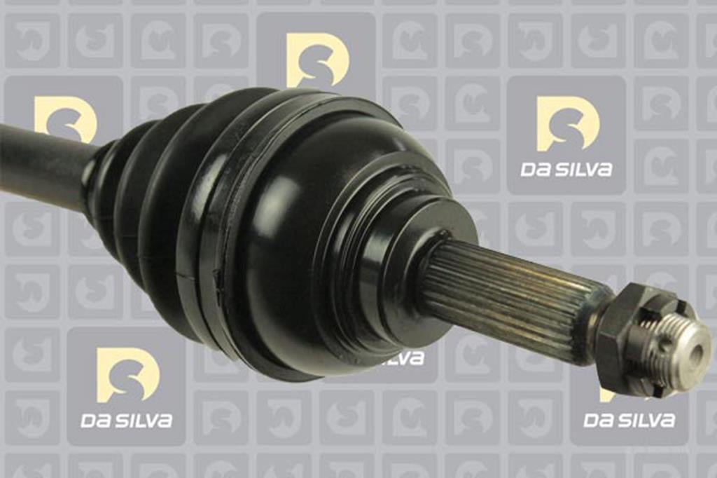 Cardan DA SILVA S.A.S. 95135T