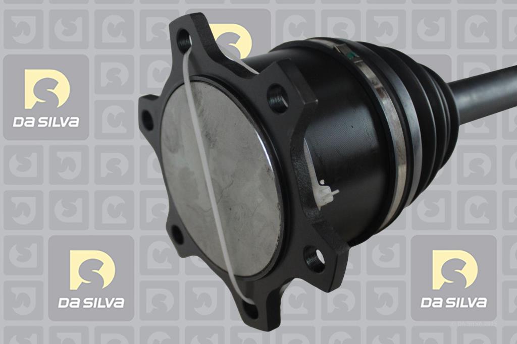 Cardan DA SILVA S.A.S. 95139AT