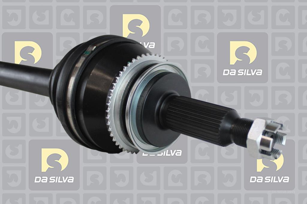Cardan DA SILVA S.A.S. 95139AT