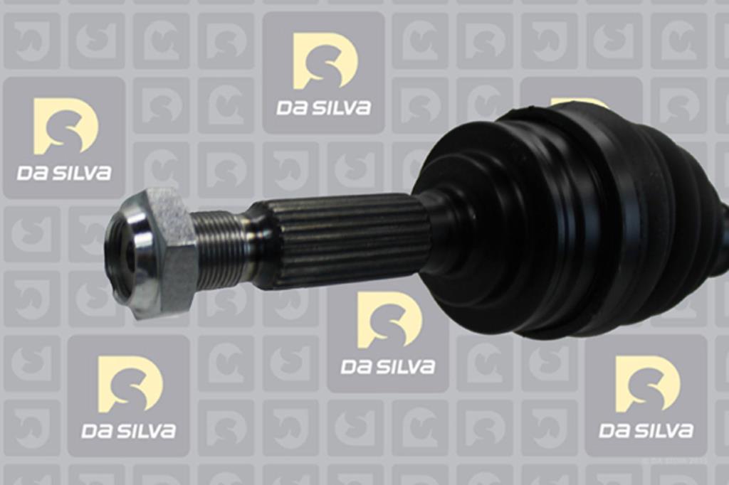Cardan DA SILVA S.A.S. 95142T