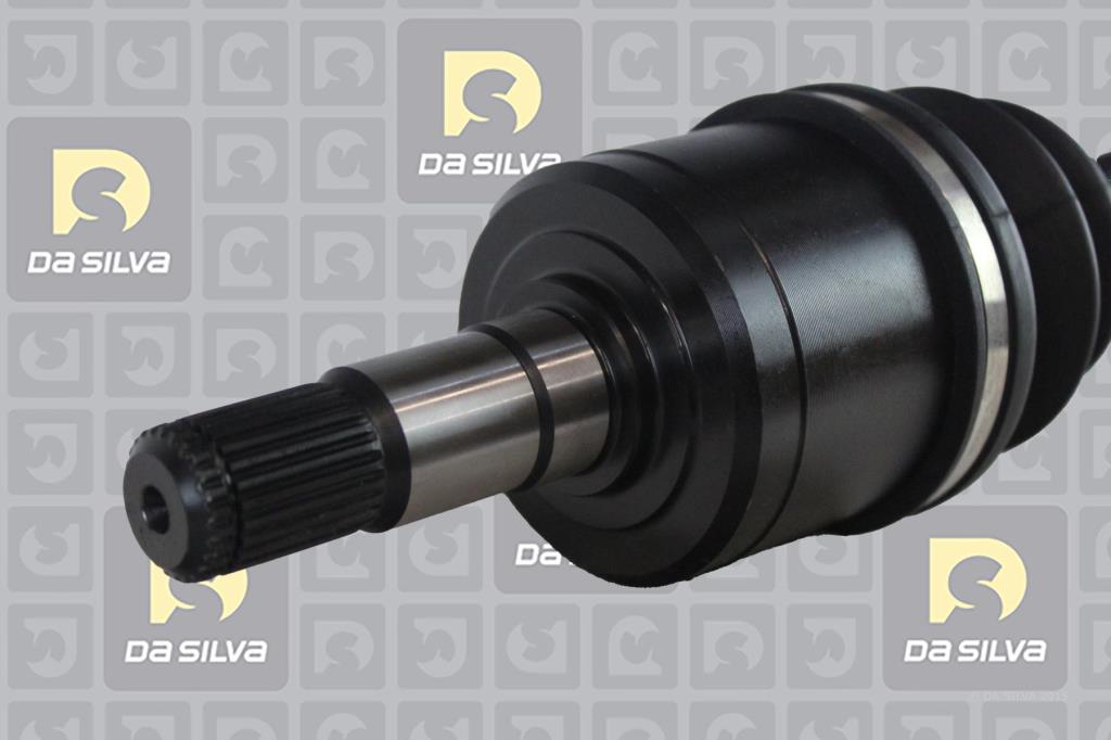 Cardã DA SILVA S.A.S. 95153AT