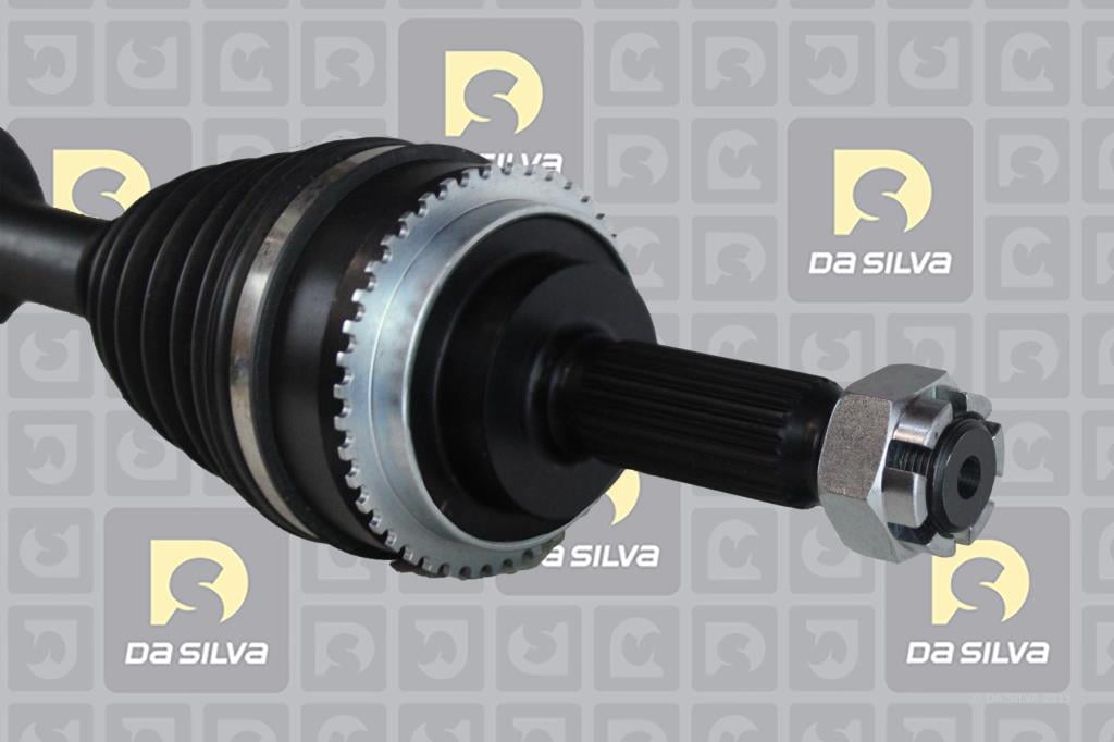 Cardã DA SILVA S.A.S. 95153AT