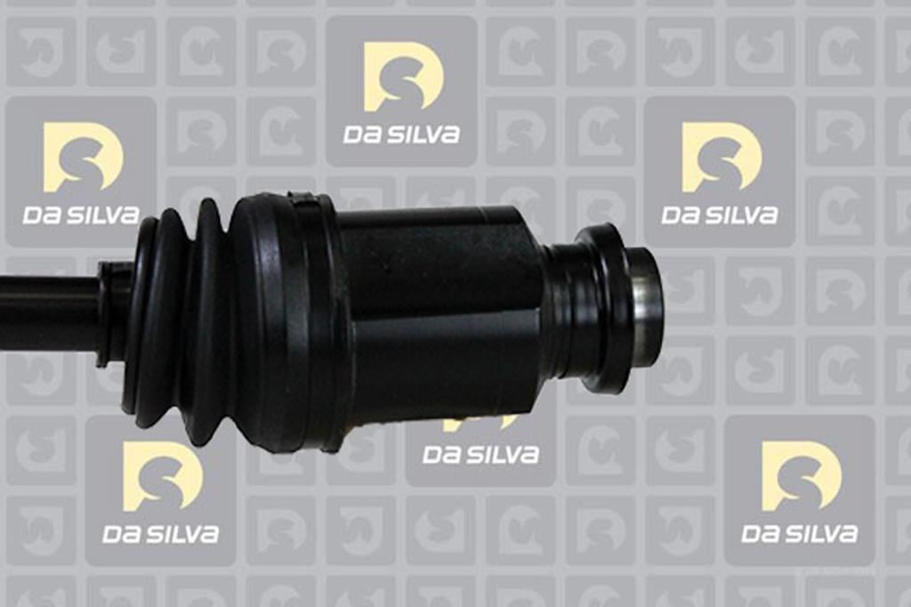 Cardan DA SILVA S.A.S. 95158AT