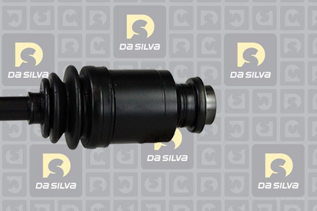 Cardan DA SILVA S.A.S. 95161AT