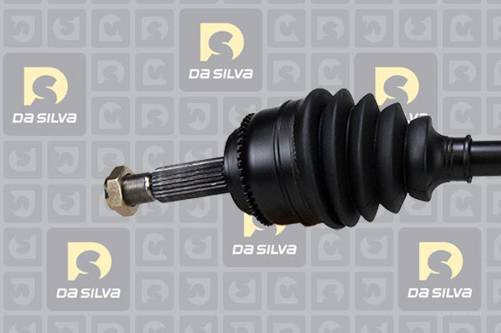 Cardan DA SILVA S.A.S. 95161AT