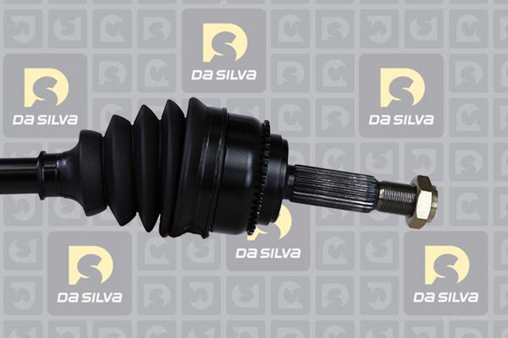 Cardã DA SILVA S.A.S. 95174T