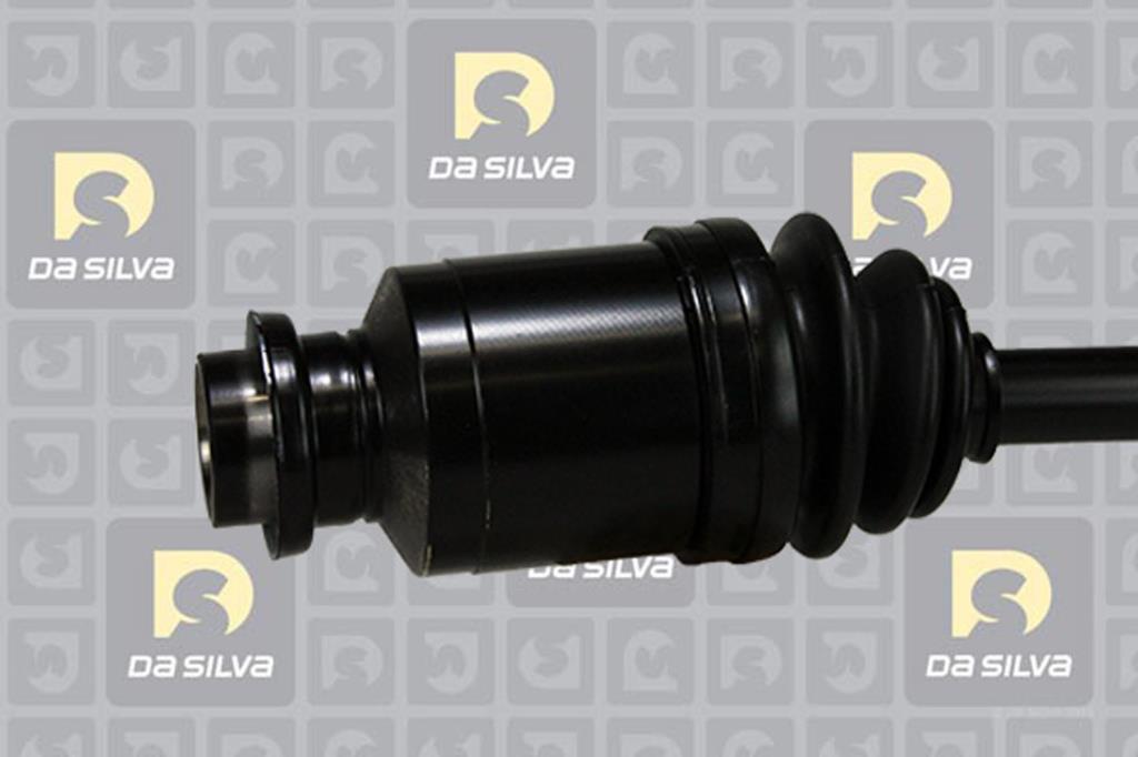 Cardã DA SILVA S.A.S. 95174T