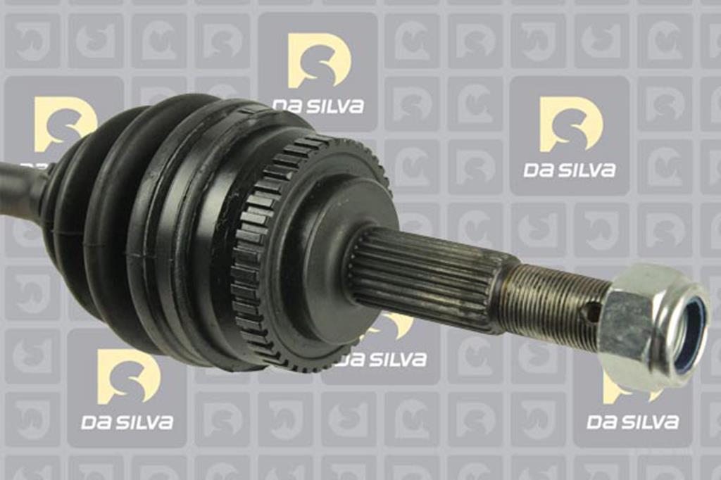 Cardã DA SILVA S.A.S. 96040AT