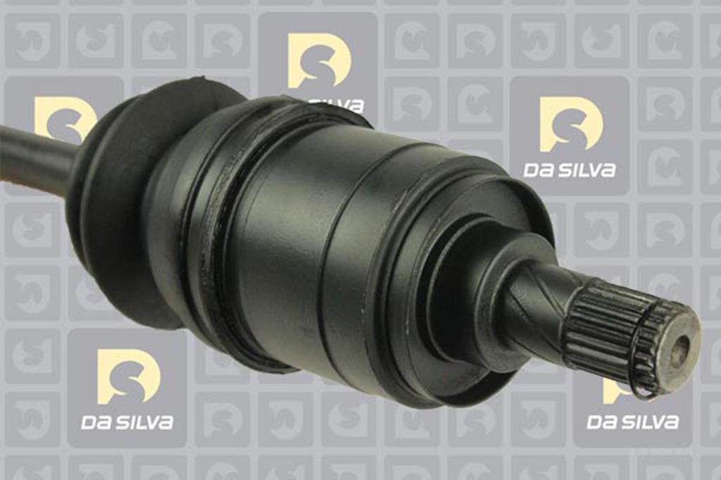 Cardã DA SILVA S.A.S. 96040AT
