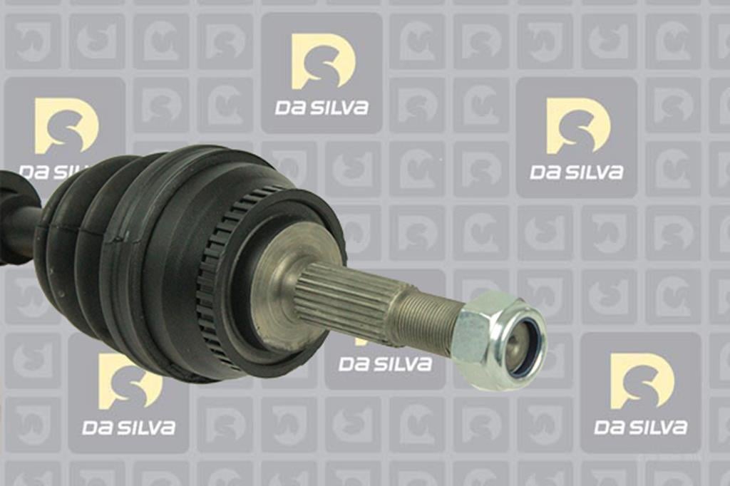Cardan DA SILVA S.A.S. 96046AT