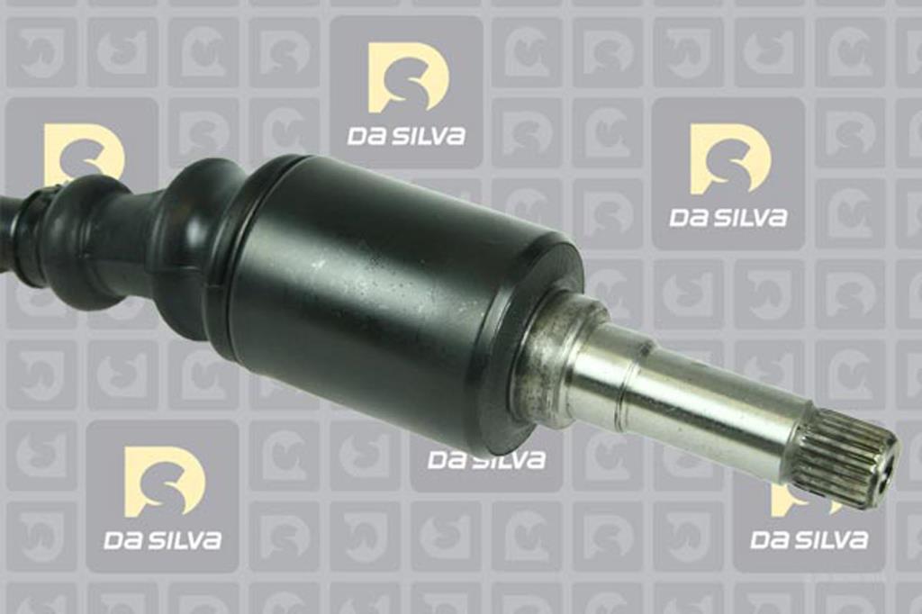 Cardã DA SILVA S.A.S. 96062T