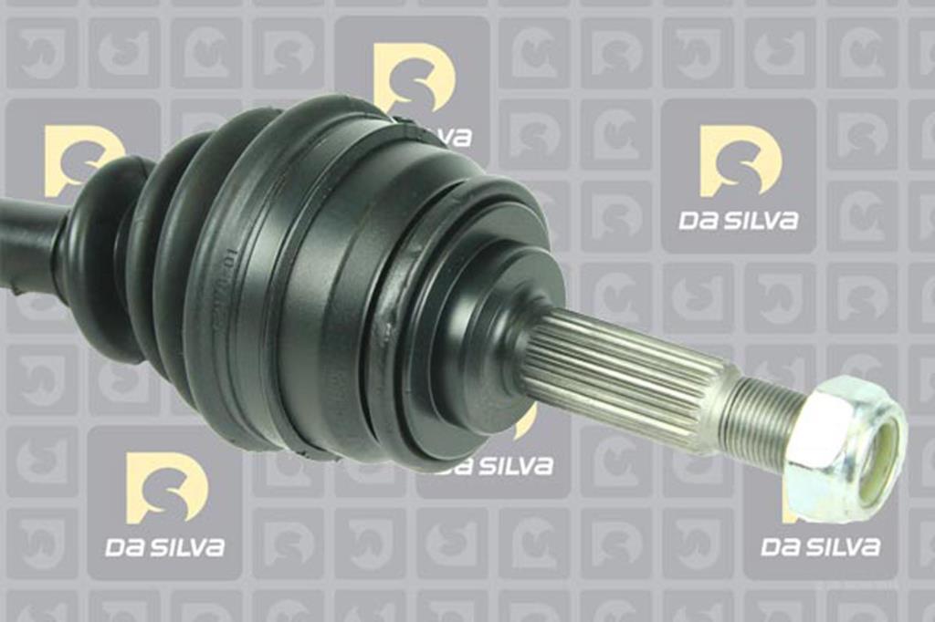 Cardã DA SILVA S.A.S. 96062T