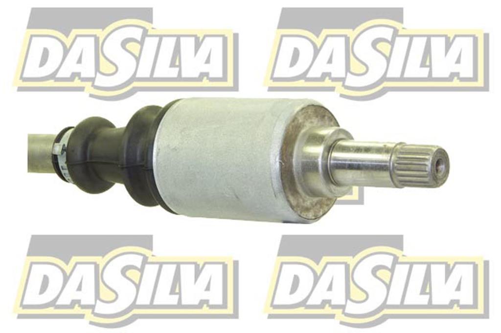 Cardã DA SILVA S.A.S. 96063AT