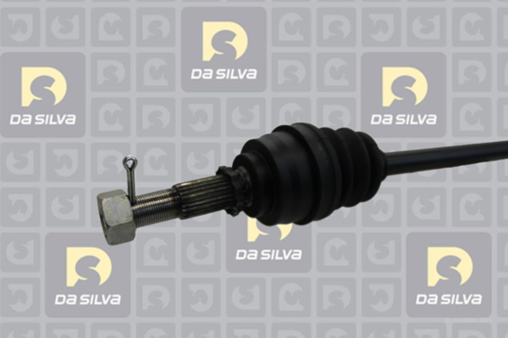 Cardã DA SILVA S.A.S. 96073T