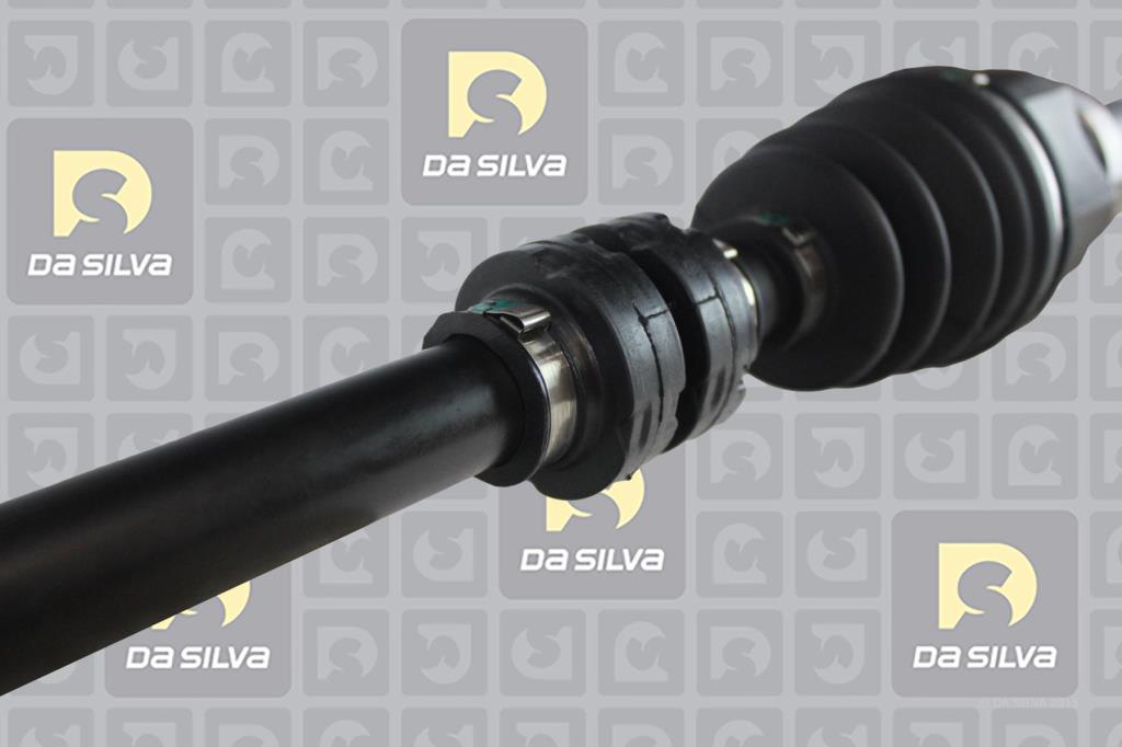 Cardan DA SILVA S.A.S. 96078T