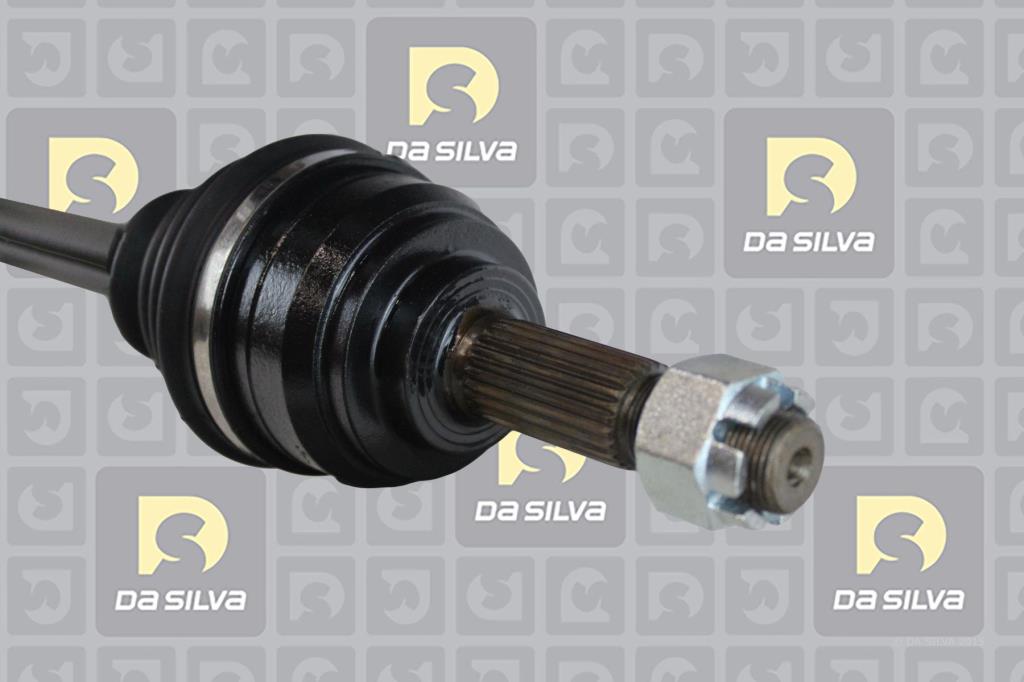 Cardan DA SILVA S.A.S. 96079T