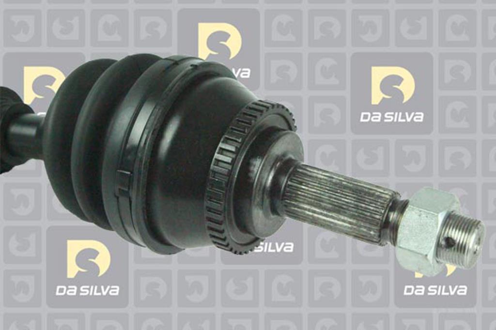 Cardã DA SILVA S.A.S. 96096AT