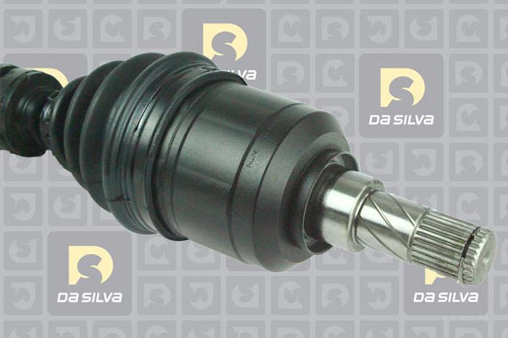 Cardã DA SILVA S.A.S. 96096AT