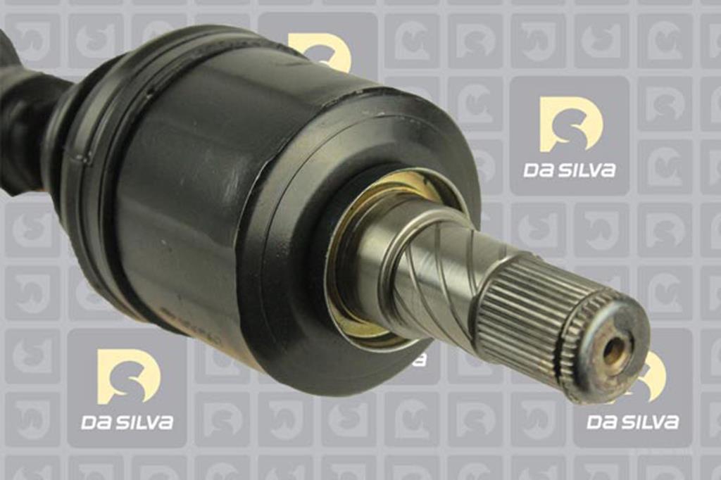 Cardan DA SILVA S.A.S. 96098AT