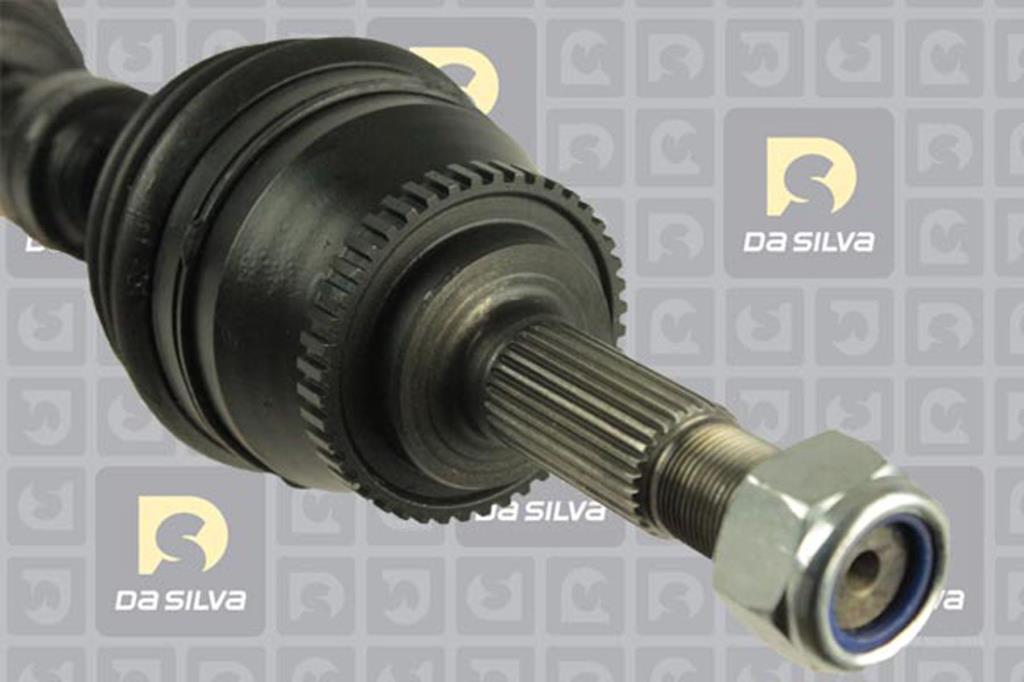 Cardan DA SILVA S.A.S. 96098AT