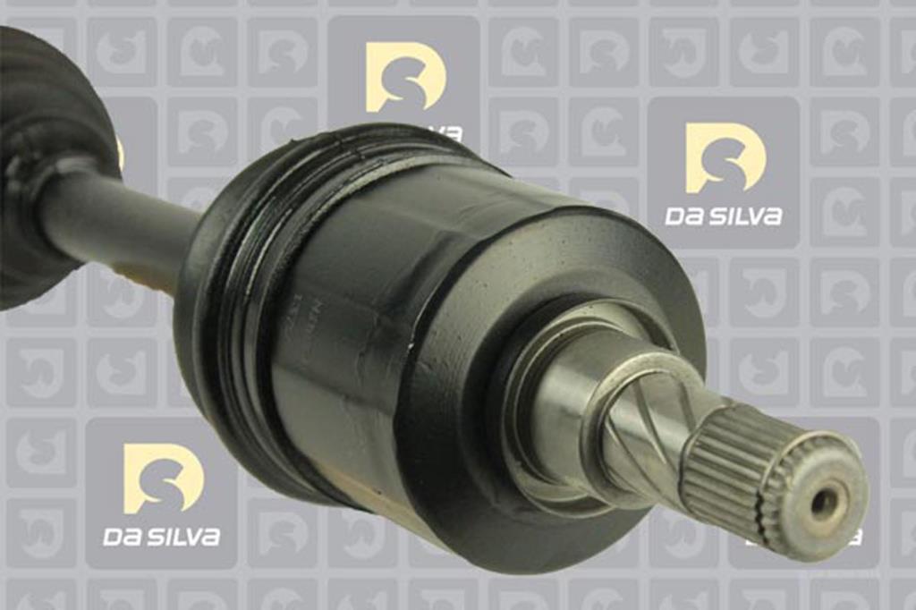Cardan DA SILVA S.A.S. 96101AT