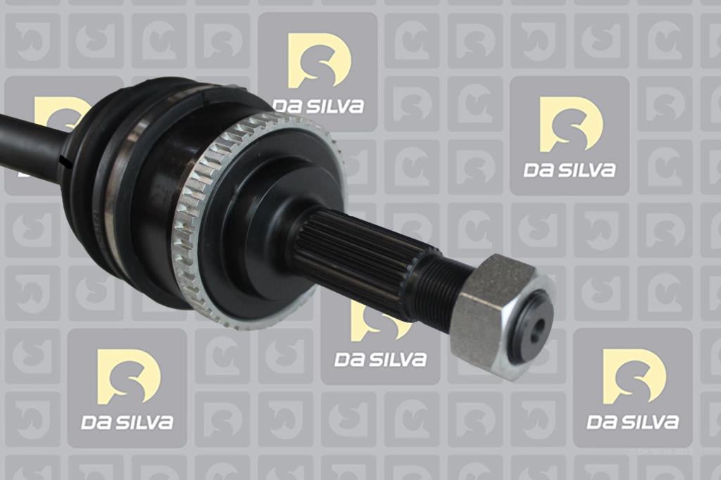 Cardan DA SILVA S.A.S. 96102AT