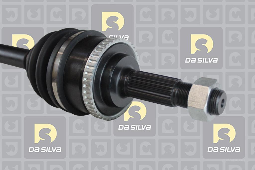Cardan DA SILVA S.A.S. 96103AT