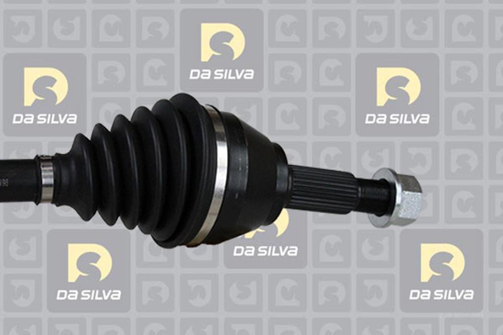 Cardan DA SILVA S.A.S. 96119T