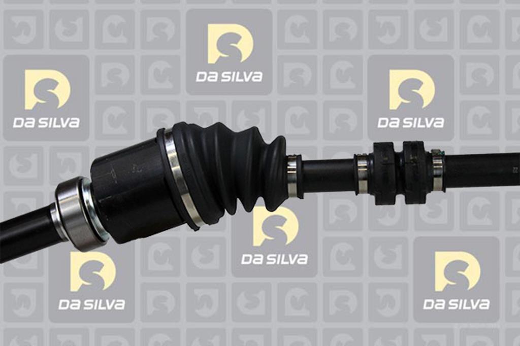 Cardan DA SILVA S.A.S. 96119T