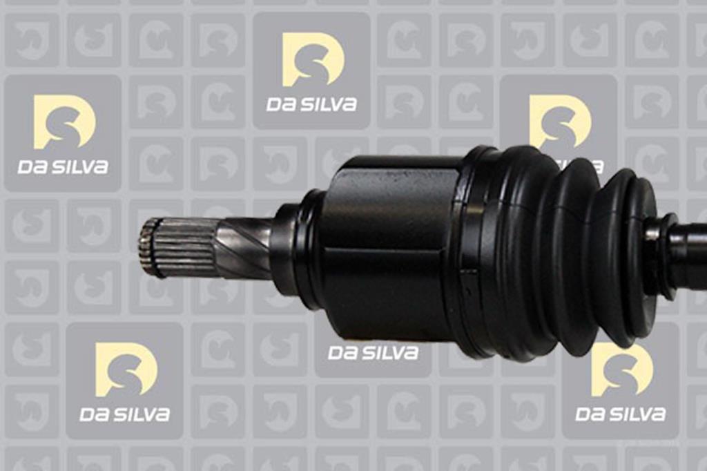 Cardã DA SILVA S.A.S. 96123T