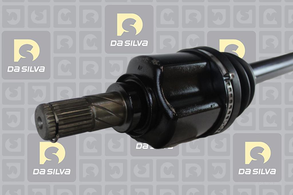 Cardã DA SILVA S.A.S. 96137AT