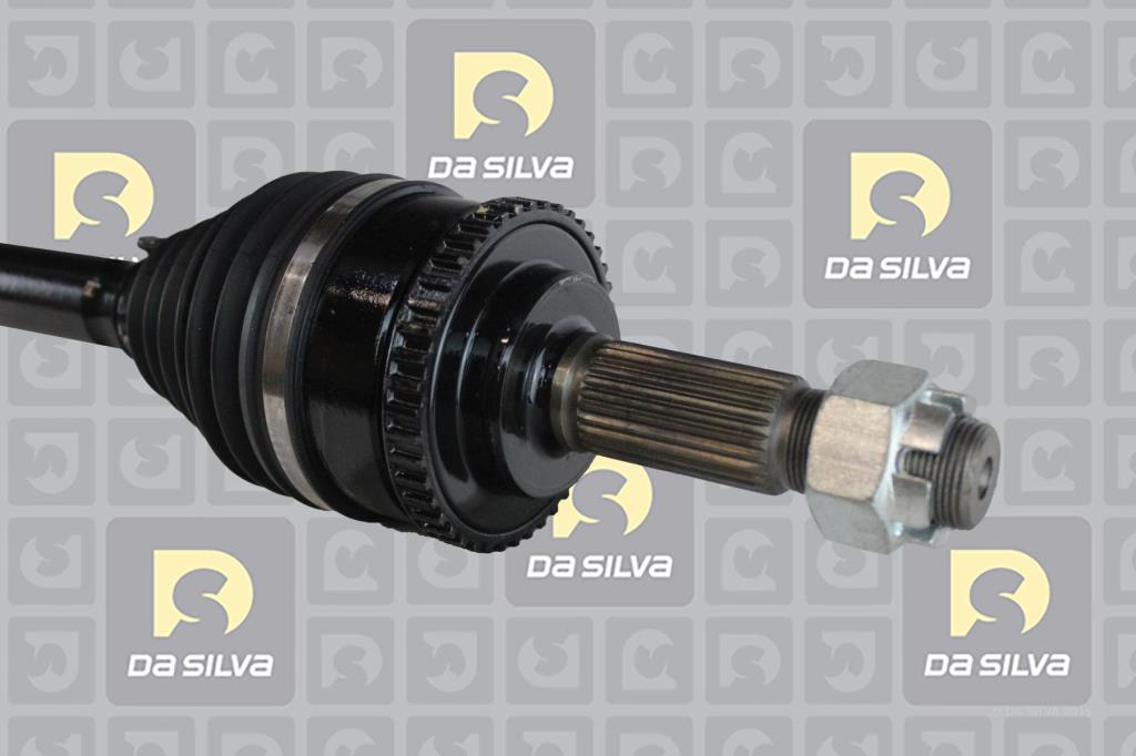 Cardã DA SILVA S.A.S. 96137AT