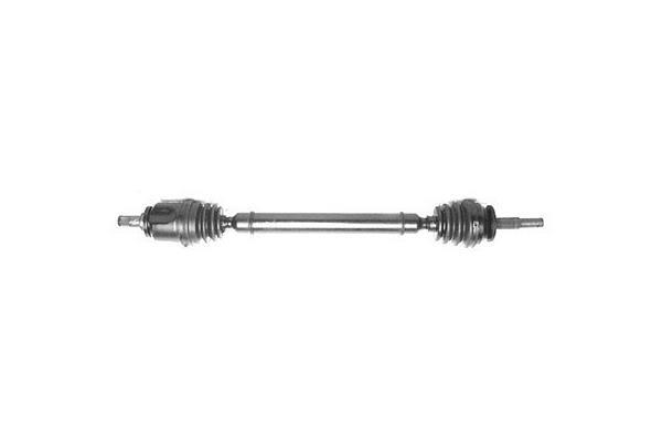 Butée hydraulique Coupé