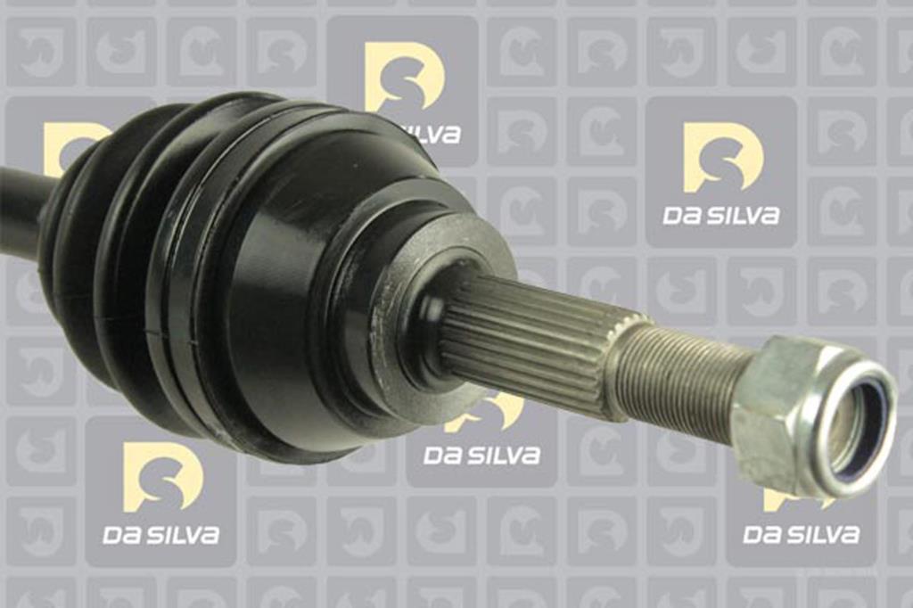 Cardan DA SILVA S.A.S. 96172T