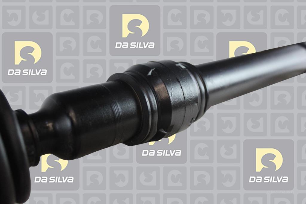 Cardan DA SILVA S.A.S. 96174AT