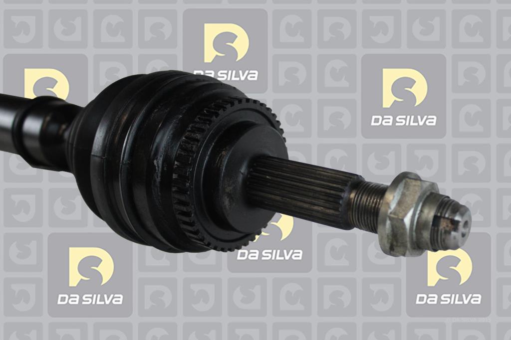 Cardan DA SILVA S.A.S. 96174AT