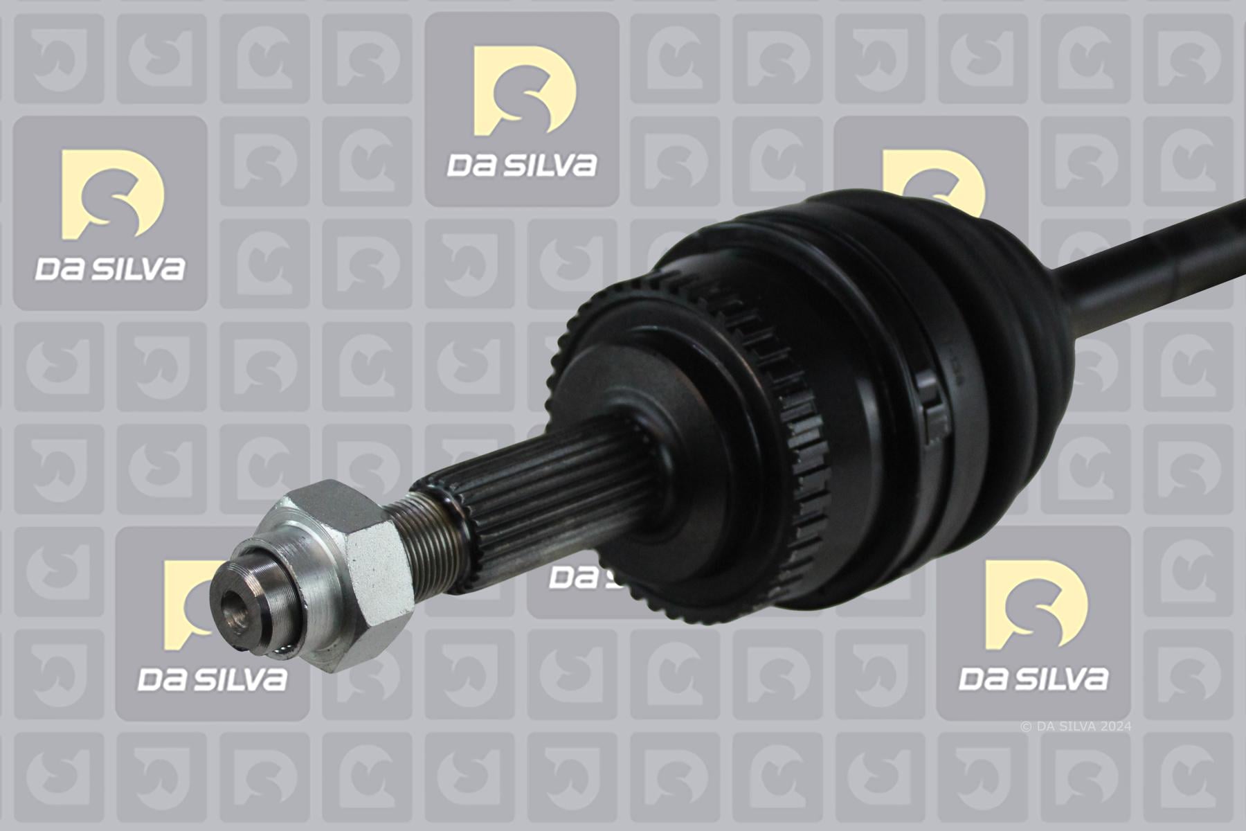 Cardan DA SILVA S.A.S. 96175AT