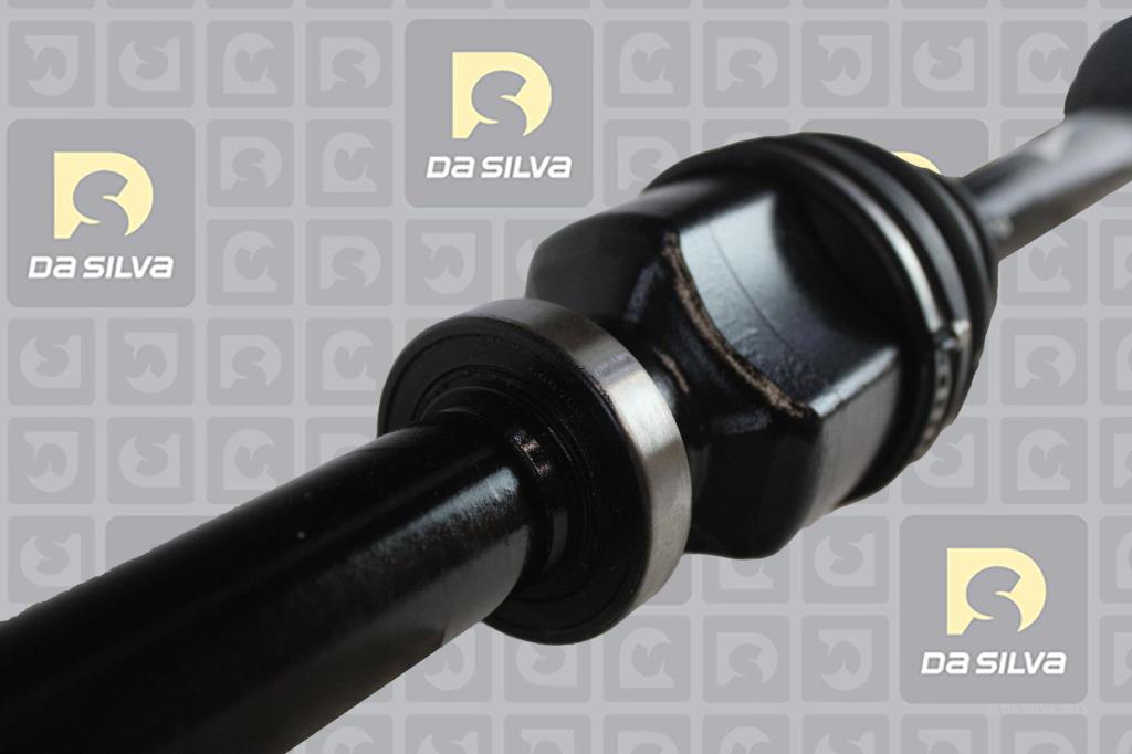 Cardan DA SILVA S.A.S. 96196T