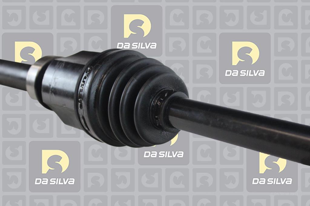 Cardan DA SILVA S.A.S. 96198T