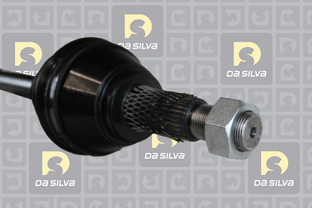 Cardan DA SILVA S.A.S. 96198T